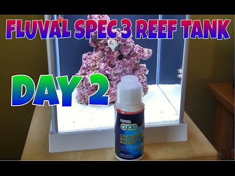 How to setup a Fluval SPEC 3 Reef tank, DAY 2 Fluval Cycle