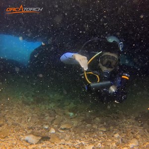 Diving into the blue with OrcaTorch! OrcaTorch - Professional lighting solutions provider for safe diving! | Orcatorch