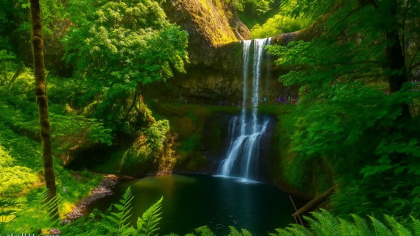 Silver Falls State Park (4K) – Oregon's Premier Waterfall Hike