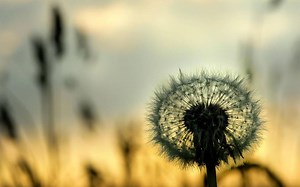 Cisco Packet Tracer仿真实验