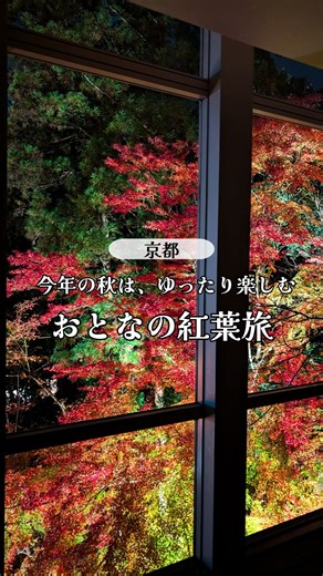 プリンスホテル/Seibu Prince Hotels & Resorts on Instagram: "今年の秋、紅葉をゆったり楽しむなら、ザ・プリンス 京都宝ヶ池へ。 市内中心部の賑わいから少し離れたこのホテルは、 喧騒を忘れて深呼吸できるような穏やかな時間が流れる場所。 目の前に広がる庭園や自然が鮮やかに色づき、 まるでホテルそのものが紅葉に抱かれているような景観が広がります🍁 人混みに煩わされることなく、優雅に秋の美を堪能できる特別な滞在を。 近隣には人気の観光スポットも点在しており、 観光拠点としてもおすすめです。 ———————————————— ザ・プリンス 京都宝ヶ池 princekyototakaragaike 〒606-8505 京都府京都市左京区宝ヶ池 （正式住所 〒606-0015 京都府京都市左京区岩倉幡枝町1092-2） TEL：075-712-1111 ご予約はプロフィールリンク公式サイトから もしくはお電話にて承っております。 ———————————————— This autumn, immerse yourself in the beauty of