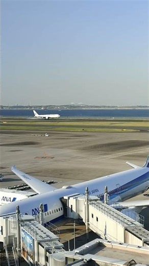 【B767着陸】JALの機体が羽田空港へランディング｜東京湾とゲートブリッジを背に