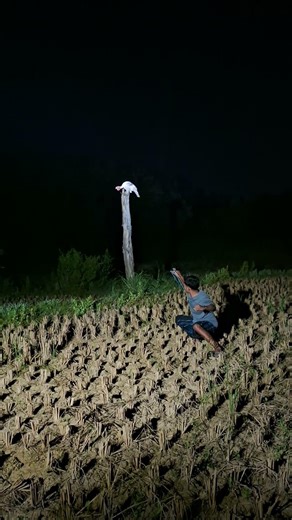 there is still one more #nature #cuteanimals #funnyanimals #awesomethings #animalmoments #wildlife