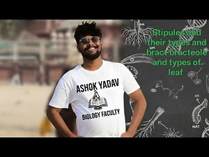 Stipules and their types bract and bracteole and types of leaf morphology of flowering plants