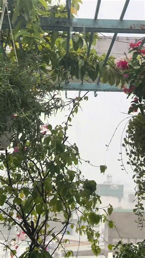 Model Minh Trí on Reels