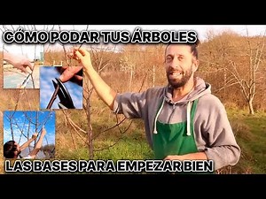 Cómo podar tus árboles: lo básico para empezar bien