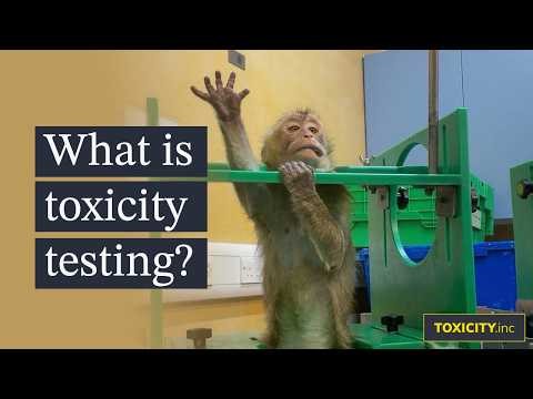 You were never meant to see this: Inside toxicity testing labs