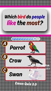 Birds Quiz: Test Your General Knowledge Today