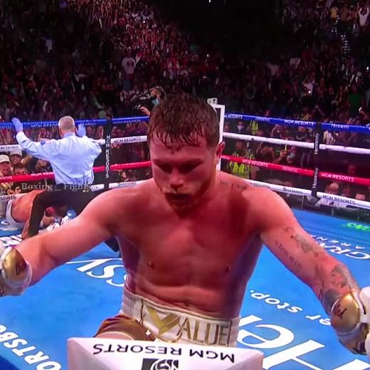 Canelo Alvarez Knockout Boxing Highlights Edit