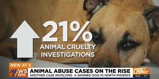 Animal abuse cases in Arizona on the rise