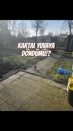 HAS THE EAGLE RETURNED TO THE NEST, UNCLE?! #explore