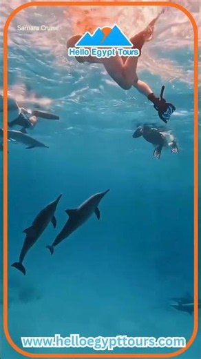 🌊Ready to discover the absolute beauty of Hurghada?🐠