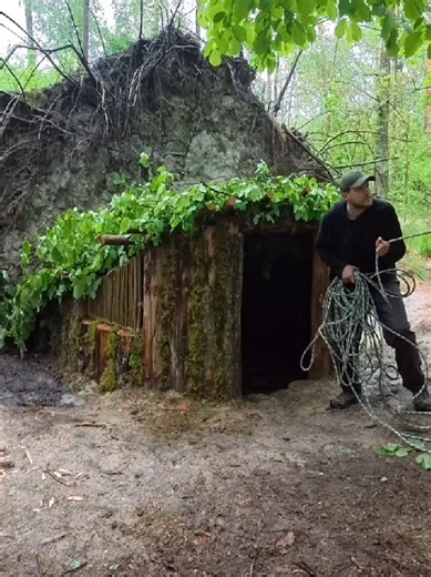Building a Cozy Shelter Under Tree Roots