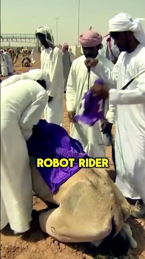 Camel Racing with ROBOT Jockeys in Dubai 🇦🇪 | Futuristic Desert Sport! 🤖🐪