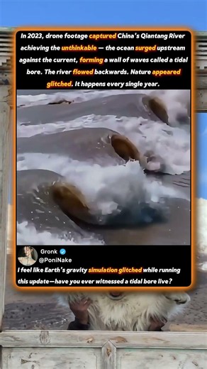 The River That Flows BACKWARDS Every Year! 🌊 #Nature #Science #Shorts