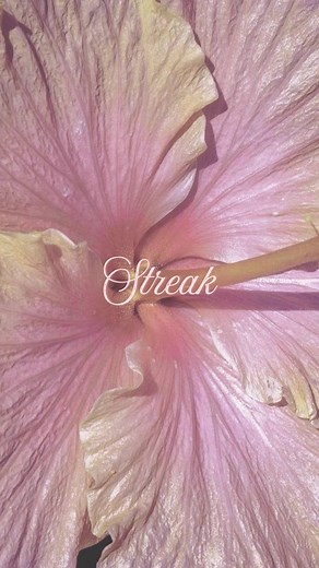 Streak Flower Aesthetic: Easy Floral Streak Guide
