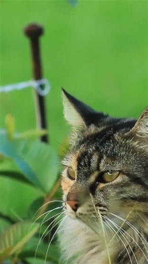 ٢٧ مارس ٢٠٢٦