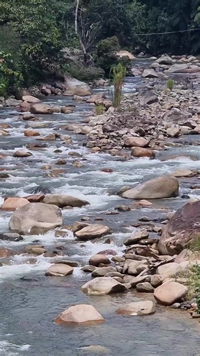 Videos de Robert Ramirez (@roberto.torres4148) con “sonido original - solosequenadase”