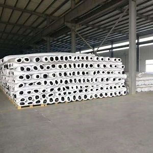 100kN Geogrid Mesh with Superior Warp Knitted Structure Fiberglass Geogrid