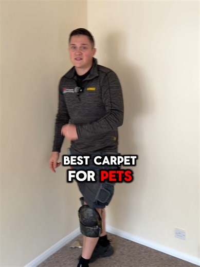 What's the best carpet for someone with pets? 🤔 For all your flooring needs, contact us today on 01223 632571 ☎️ #carpet #pets #carpetfitting #flooring #fyp