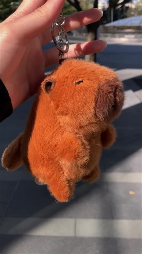 Capybara Gifts for Black Friday