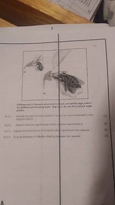 Identify the reproductive isolation mechanism that is illustrat... | Filo