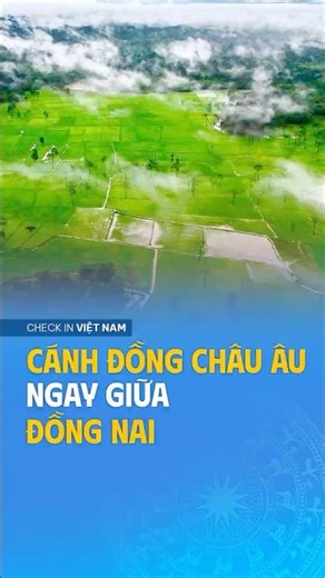 Ta Lai, Dong Nai – A “European” field amidst the green forest.