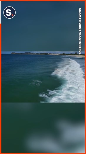 4.9K views · 218 reactions | Incredible footage of dolphins having a blast jumping through waves! | storyful | Facebook