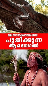245K views · 2K reactions | BLACK MAGIC IN AMAZON ആണിനെ പെണ്ണാകുന്നാ ആമസോൺ മന്ത്രവാദം #travel #amazon #peru #instadaily #instagood | Travelista By Santos | Facebook
