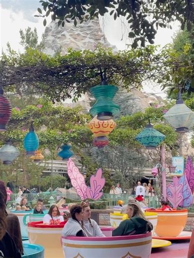 ERIKA DIANE on Instagram: "official disney adult🐭🎀🎡🎟️"