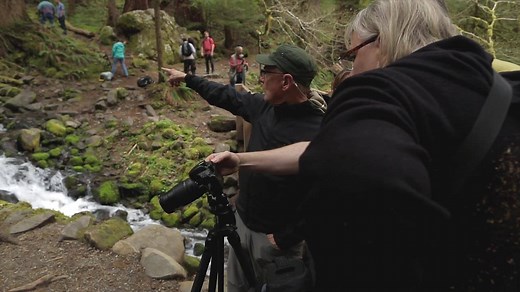 262 reactions · 33 shares | Join acclaimed nature photographer and instructor Art Wolfe for a day of instruction and inspiration. Drawing from four decades of work on every continent and over 80 books, Art will share how he finds inspiration and integrates his past experiences with his present day work. During this special one day course, you'll learn outdoor and scenic composition tips for nature photography from a master. Watch Class Preview. | CreativeLive | Facebook