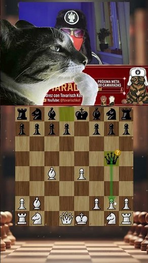 The enemy QUEEN wins in 9 moves! 🤯 (Danish Gambit) #chess #chess #shorts