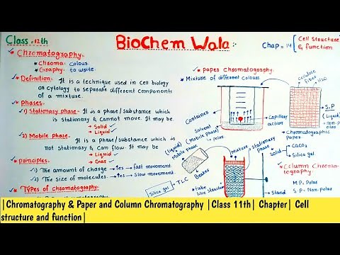 |Chromatography| Paper & Column Chromatography| Class 11th| Chapter| Cell structure and function|
