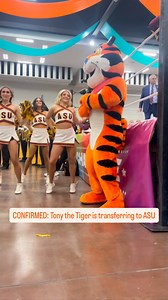 CONFIRMED: Tony the Tiger is transferring to ASU | Cameron Cox