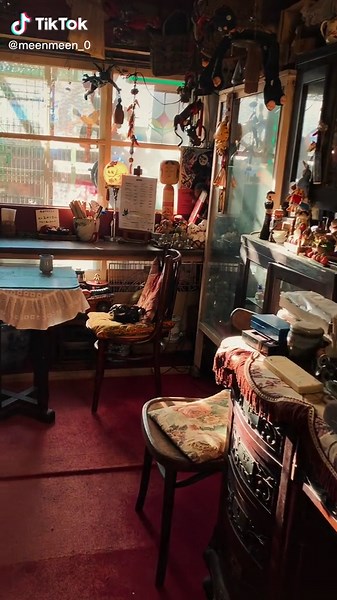 北九州のアンティーク猫カフェ: マスターと6匹の猫が暮らす心地良い空間