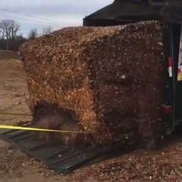 Quick Leaf Removal for Trailers! #leafremoval #cleanup #spring #lawncare