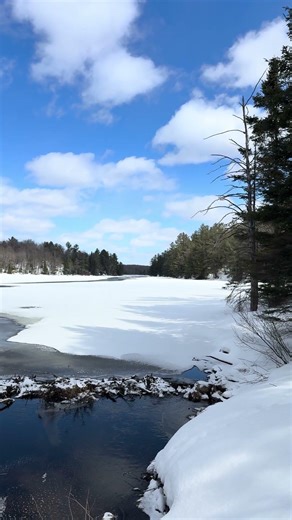 4k Creek in Winter E9 22s #beautiful #peaceful #relax #naturelovers #nature #winter #peace #canada