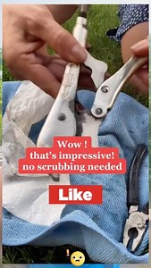 5.1K views · 81 reactions | Easy way to remove RUST #reelsvideo #viralvideo #trend #fypシ #fypシ゚viralシ #virals #fypシ゚viral #fbreels #usa #viral #fypシ゚ #reelsinstagram #followers #viralreels #UK #canada #australia #trendingnow #reelitfeelit #facebookpost #portugal #indonesia #viralshorts #mexicocity #trendingvideo #portland #germany #post #uk #france | Shineohiocleaning | Facebook