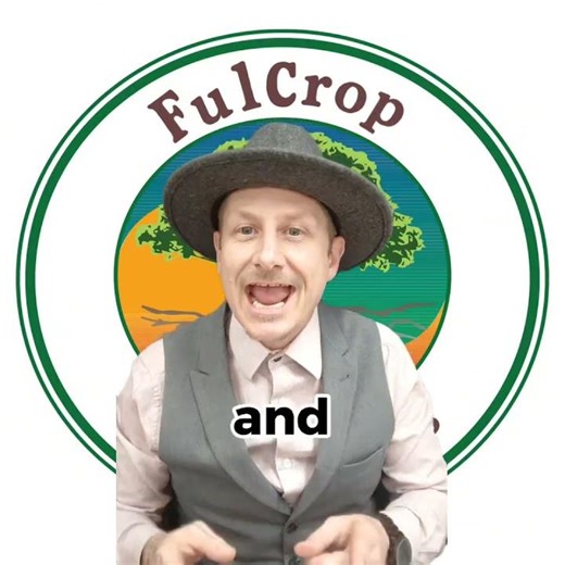 Outdated vs. Optimized: HPS vs. LED — The Real Truth 🔆💡