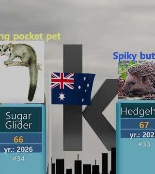 Top 70 Most Human-Friendly Animals in the World (Unit: Friendliness Score)