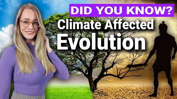 2 Million Years of Climate Shifts: How Earth’s Cycles Drove Human Evolution