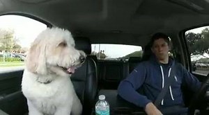 Road trip jamz with the Fonz. | Jordan Taylor