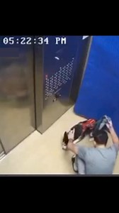 1.1M views · 8.3K reactions | Biggest mistakes in potty training a dog. #dogmom #dogsofinstagram #dog #doglife #dogs #doglover #dogoftheday #dogstagram #doglovers #puppy #puppylove #puppiesofinstagram #dogsofinsta #instadog #dogmomlife #dogphotography #doggo #doglove #love #dogmodel #puppylife #ilovemydog #adoptdontshop #dogdad #puppies #dogslife #rescuedog #instagram #petsofinstagram #furbaby | Jonathan Cox | Facebook