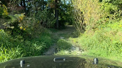 So that was my night. Thank God for this dude driving over the bridge with a a F250 after about an hour of pulling this way and that he got me out. Sheriff's was there and was cool as can be. No tickets. I didn't see a Fricken tree under the water and went over with the from and had the backend about a foot off the bottom of the river before I started using the winch around another tree. | Jim Compton