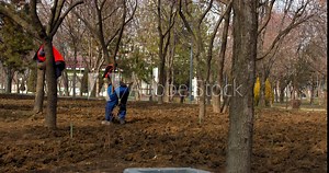 Spring work behind the Amir Temur Museum Tashkent, Uzbekistan. Dripping the ground. Beautification of the garden. People in Orange Vests. BMPCC4K