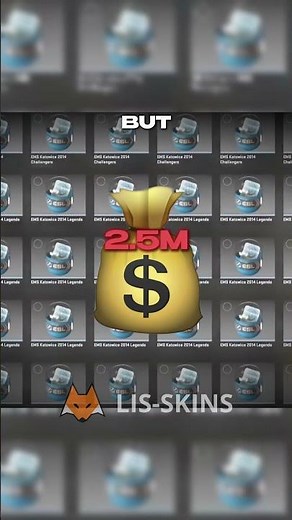 One of the Richest CS2 Collectors