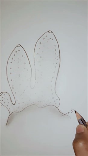 Structure of 𝙎𝙮𝙘𝙤𝙣 #animalkingdom#porifera#sycon#sponges#biology#sycondiagram