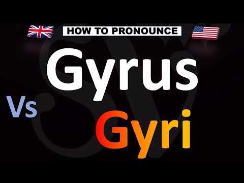 How to Pronounce Gyrus and Gyri (CORRECTLY!)