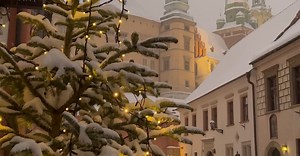 Video by Pexels User on Pexels