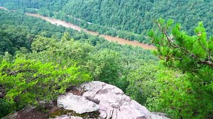 2.7K views · 19 reactions | Get outside and explore the world on and off road. Take the trip, see the sight, create the memories! All-new Switchback Stroller will be available to order tomorrow (Friday) at Noon EST. TacticalBabyGear.com/switchback | Tactical Baby Gear | Facebook